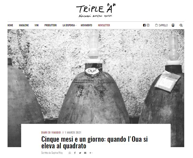 articolo Velier